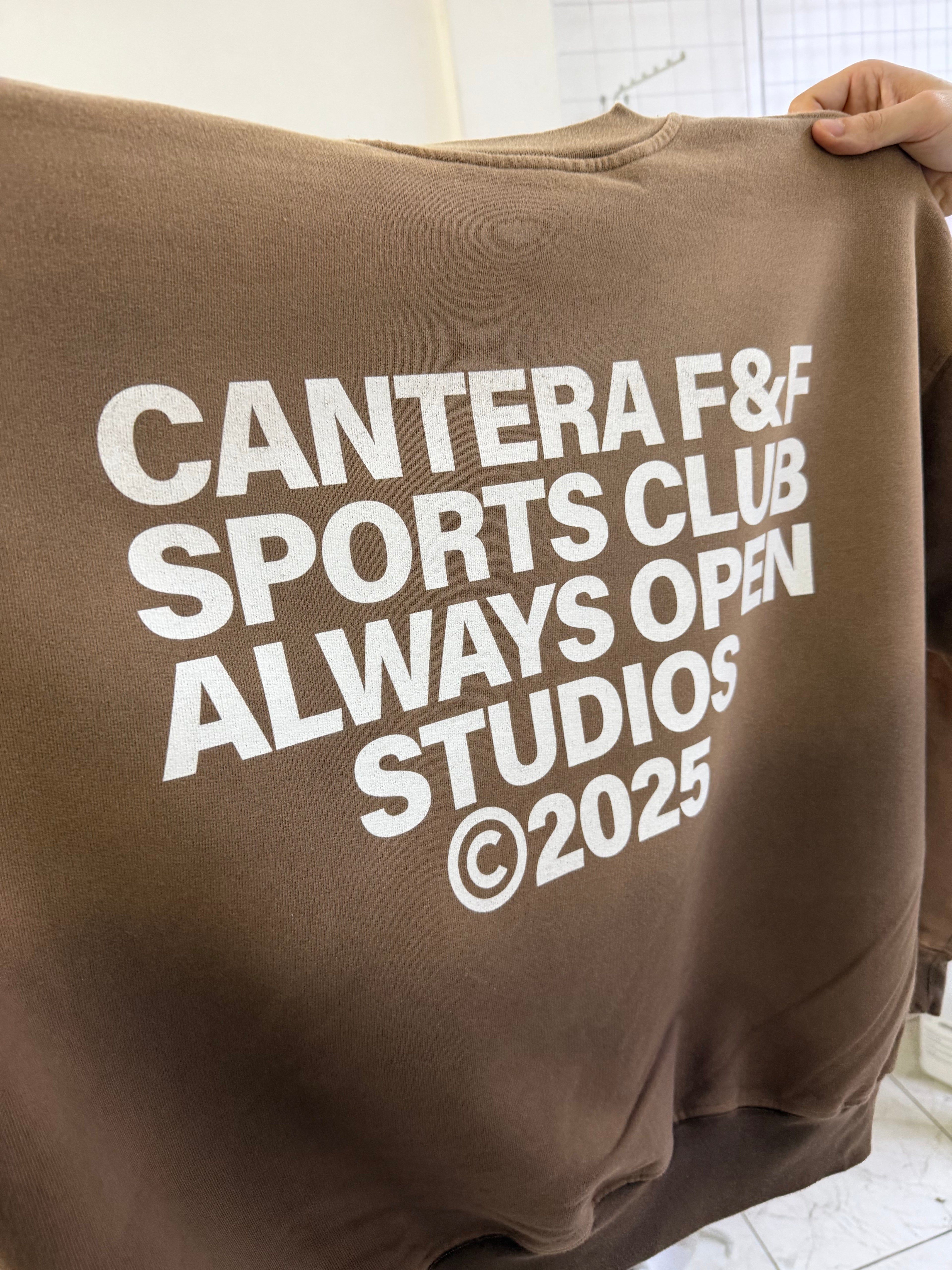 FRIENDS & FAMILY SUNFADE CREWNECK